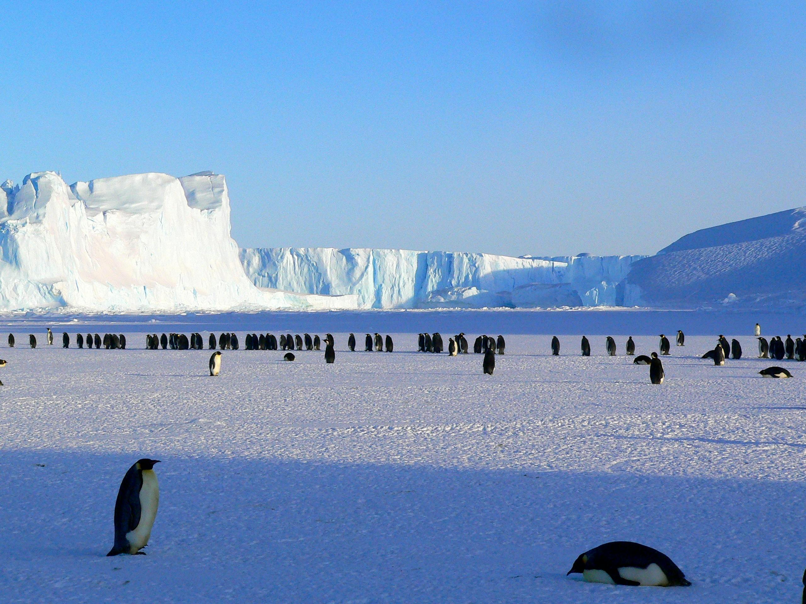 Trip 1 — Fly in, sail south, cross the Drake Antarctic yacht route preview